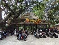 Bandung Zoo Kembali Diserbu Wisatawan: Masuk Gratis Tapi...