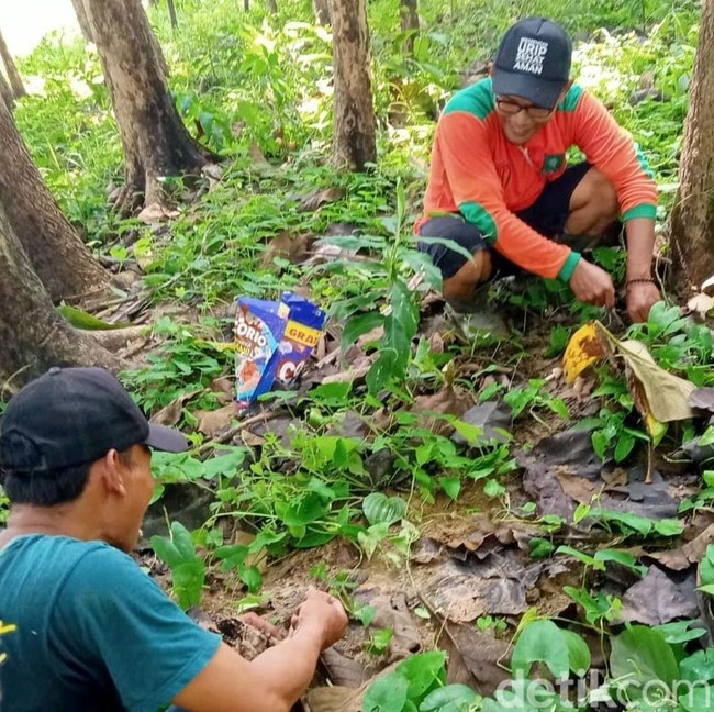Liburan Warga Pinggir Hutan Bojonegoro Berburu Jamur Barat