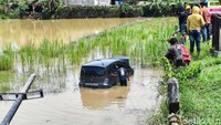Duh! Honda Freed Nyemplung Sawah Gara-gara Sopirnya Microsleep