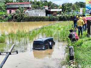 Duh! Honda Freed Nyemplung Sawah Gara-gara Sopirnya Microsleep