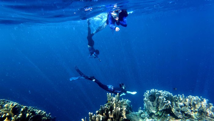 Sejumlah wisatawan menyelam bebas atau free dive di gugusan terumbu karang objek wisata Oluhuta Paradise di Kabupaten Bone Bolango, Gorontalo, Minggu (28/12/2025). Kunjungan ke objek wisata minat khusus tersebut meningkat dari rata-rata 19 orang/hari menjadi 130 orang/hari berkenaan dengan libur Natal 2025 dan Tahun Baru 2026. ANTARA FOTO/Adiwinata Solihin