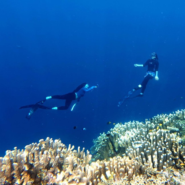 Oluhuta Paradise Kebanjiran Pengunjung di Musim Libur