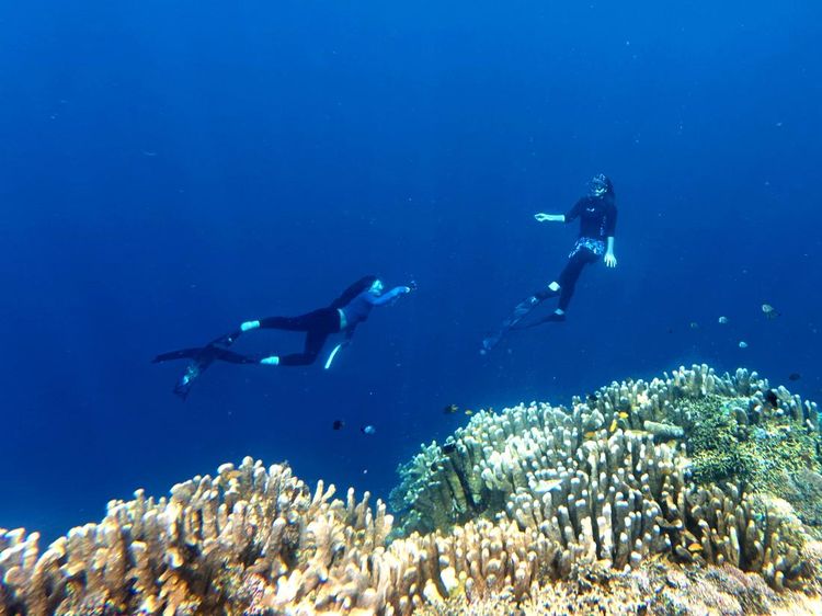 Oluhuta Paradise Kebanjiran Pengunjung di Musim Libur