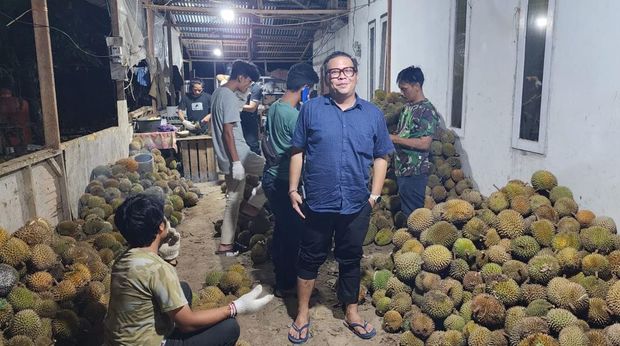 Sentra durian di Payakumbuh