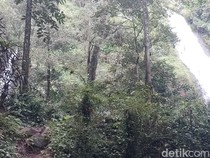 Lutut Lemas Terbayar Lunas oleh Pesona Curug Sabuk Kareumbi