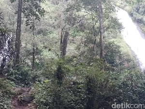 Lutut Lemas Terbayar Lunas oleh Pesona Curug Sabuk Kareumbi