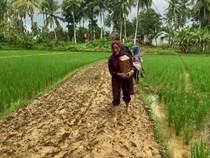 Viral Perjuangan Pengantar Manten Terjang Jalan Berlumpur ke Lokasi Nikahan