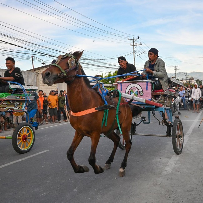 Aksi Pacu Dokar Meriahkan Akhir Tahun di Palu