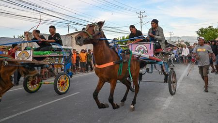 Aksi Pacu Dokar Meriahkan Akhir Tahun di Palu