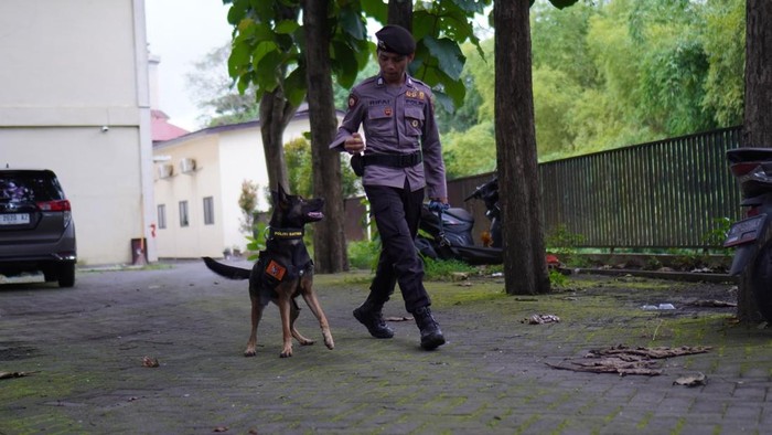 Alice unit K9 memiliki kemampuan pencarian korban bencana