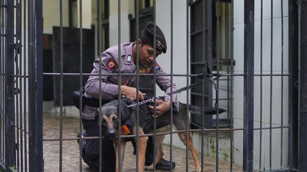 Alice unit K9 memiliki kemampuan pencarian korban bencana Alice unit K9 memiliki kemampuan pencarian korban bencana