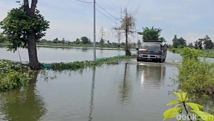 Banjir akibat luapan Sungai Bengawan Solo di Lamongan