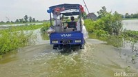 Akibatnya, akses jalan utama yang menghubungkan lima dusun di Desa Bojoasri terendam banjir sepanjang kurang lebih satu kilometer.