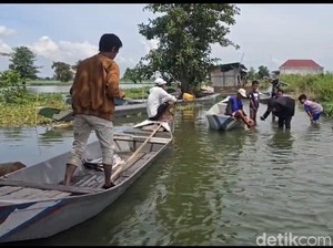 14,5 Ton Beras Disalurkan ke Warga Lamongan Terdampak Banjir di 44 Desa