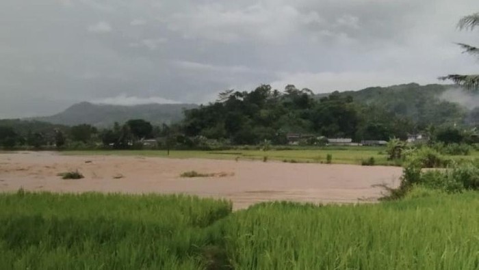 30 Hektare Sawah Siap Panen Terendam Banjir di Gegerbitung Sukabumi
