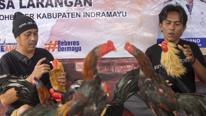 Peserta membuat kerajinan boneka ayam saat mengikuti pelatihan di desa Larangan, Indramayu, Jawa Barat, Senin (29/12/2025). Pelatihan yang digelar Pemerintah Desa setempat itu diikuti sejumlah pemuda untuk memberikan keterampilan dan mengurangi angka pengangguran. ANTARA FOTO/Dedhez Anggara