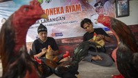Melalui kegiatan ini, Desa Larangan berupaya menciptakan pemuda yang lebih produktif dan mandiri. Pelatihan pembuatan boneka ayam menjadi salah satu langkah konkret pemerintah desa dalam mendorong pemberdayaan masyarakat dan peningkatan kesejahteraan warga. ANTARA FOTO/Dedhez Anggara