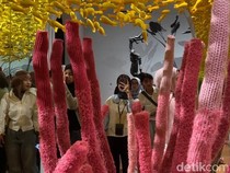 Video Aktivitas Anti Boring di Galeri Nasional, Ngapain Aja Hayo...