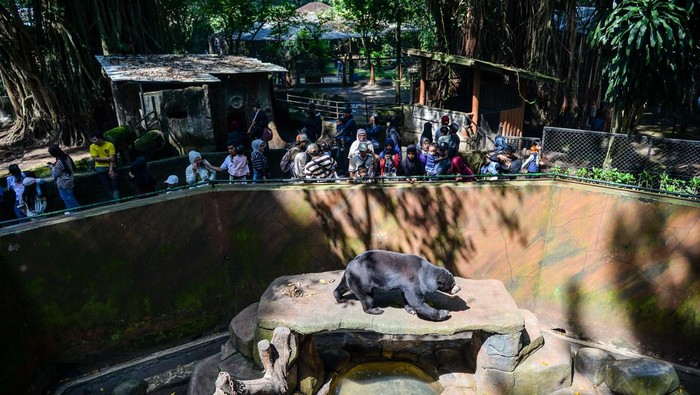 Warga memadati pintu masuk Kebun Binatang Bandung, Jawa Barat, Minggu (28/12/2025). Pengelola Kebun Binatang Bandung menggratiskan biaya masuk kepada pengunjung secara terbatas dalam masa libur Natal 2025 serta membuka donasi pakan hewan di tengah sengketa pengelolaan Kebun Binatang Bandung. ANTARA FOTO/Raisan Al Farisi/nym.
