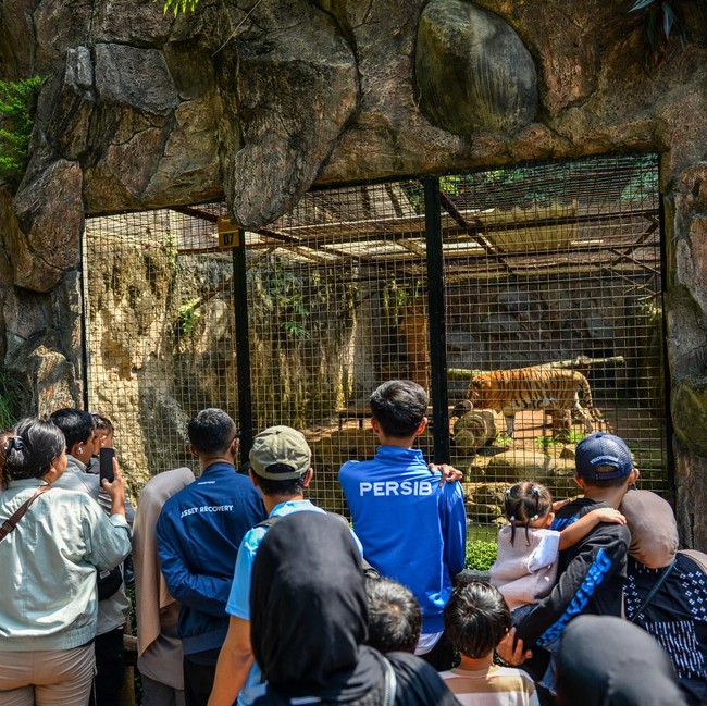 Gratis Masuk, Pengunjung Padati Kebun Binatang Bandung