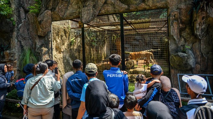 Warga memadati pintu masuk Kebun Binatang Bandung, Jawa Barat, Minggu (28/12/2025). Pengelola Kebun Binatang Bandung menggratiskan biaya masuk kepada pengunjung secara terbatas dalam masa libur Natal 2025 serta membuka donasi pakan hewan di tengah sengketa pengelolaan Kebun Binatang Bandung. ANTARA FOTO/Raisan Al Farisi/nym.