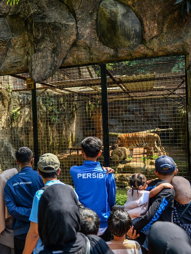 Gratis Masuk, Pengunjung Padati Kebun Binatang Bandung