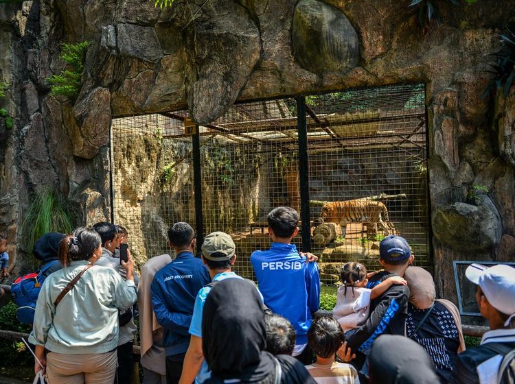 Gratis Masuk, Pengunjung Padati Kebun Binatang Bandung