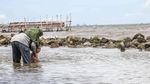 Menikmati Libur Nataru di Pantai Marunda Jakarta Utara