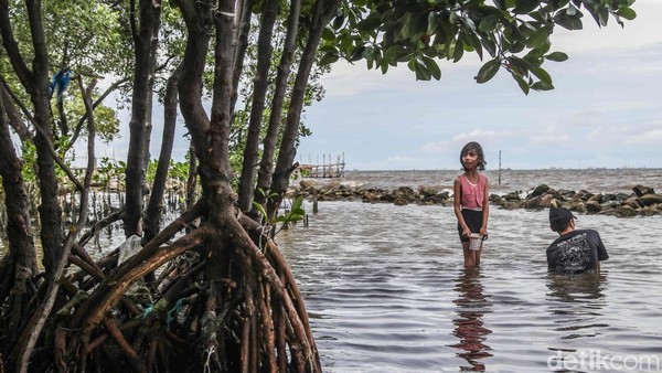 Menikmati Libur Nataru di Pantai Marunda Jakarta Utara