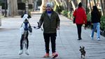 Aksi Jalan-Jalan Amal Bersama Anjing Warnai Madrid