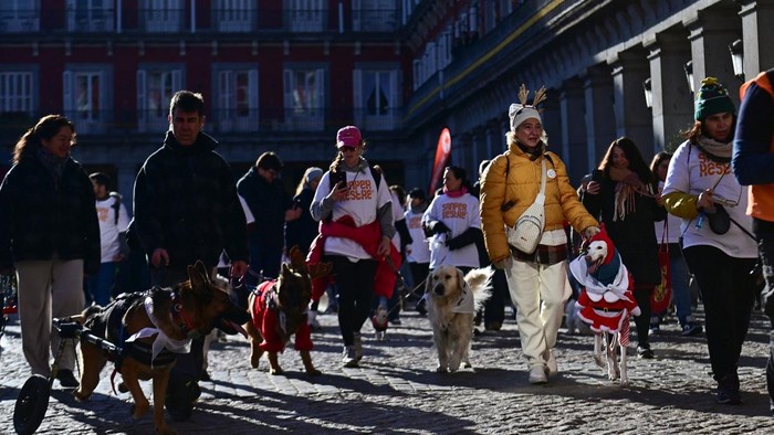 Aksi jalan-jalan amal bersama anjing mewarnai suasana Madrid, Spanyol, Selasa (30/12/2025). Ratusan warga bersama anjing peliharaan mereka mengikuti kegiatan bertajuk “Sanperrestre”, sebuah acara tahunan yang digelar menjelang akhir tahun. REUTERS/Juan Barbosa