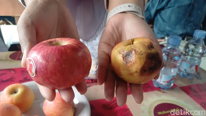 BGN Dalami Temuan Apel Busuk pada Menu MBG di SDN 18 Tumampua Pangkep