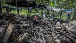 Arang Kayu Jadi Buruan Jelang Tahun Baru, Produksi Naik Dua Kali Lipat