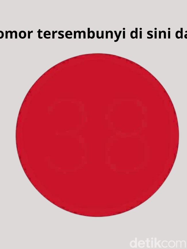 Tes Buta Warna Ini Bikin Pusing 7 Keliling Kalau Nggak Teliti, Kamu Bisa Jawab?