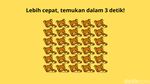 Cari Objek yang Berbeda di Gambar Ini, Sekilas Tampak Sama Semua