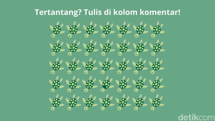 Cari Objek yang Berbeda di Gambar Ini, Sekilas Tampak Sama Semua