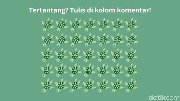 Cari Objek yang Berbeda di Gambar Ini, Sekilas Tampak Sama Semua