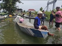 Banjir Bengawan Jero Kembali Rendam 5 Kecamatan di Lamongan