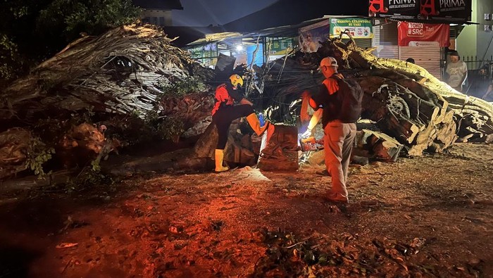 Pohon beringin ambruk di Alun-Alun Utara, Gondomanan, Kota Jogja, Selasa (30/12/2025).