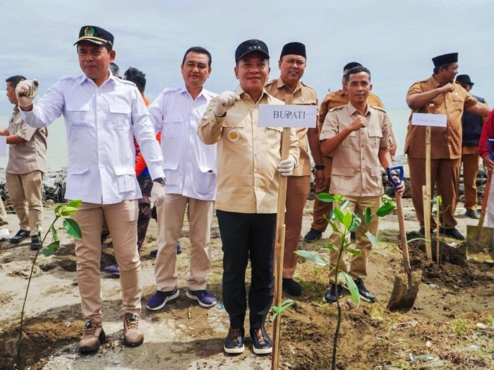 Bupati Karawang Aep Syaepuloh bersama fraksi Gerindra DPRD Kabupaten Karawang menanam mangrove di Pesisir Pantai Cemarajaya
