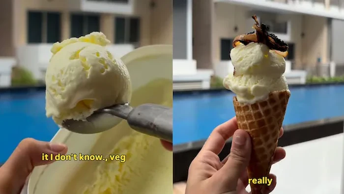 Es krim dicampur nasi biryani.