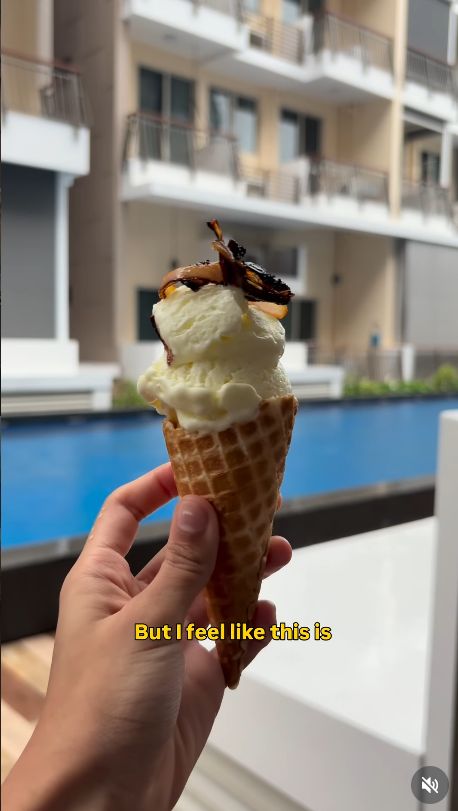 Es krim dicampur nasi biryani.