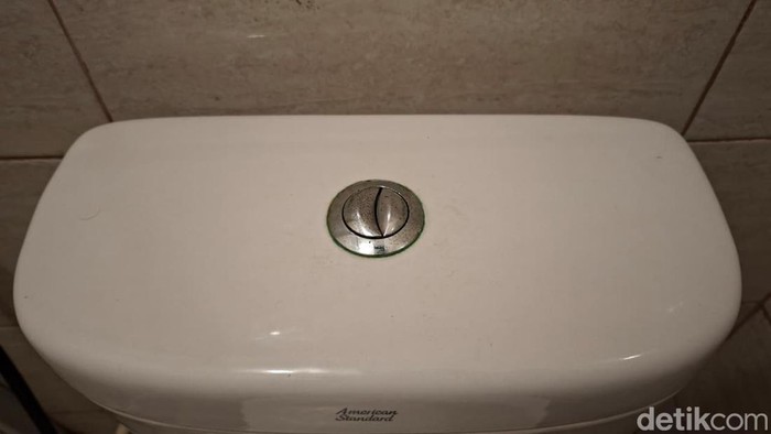Banyak Kloset Duduk Punya 2 Tombol Flush, Apa Sih Fungsinya?