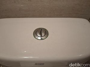 Kenapa Kloset Duduk Punya Dua Tombol Flush? Ternyata Ini Fungsinya
