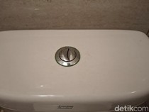 Banyak Kloset Duduk Punya 2 Tombol Flush, Apa Sih Fungsinya?