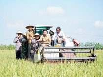 Lampaui Target Nasional, LTT Lamongan Perkuat Swasembada Pangan