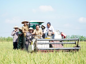 Lampaui Target Nasional, LTT Lamongan Perkuat Swasembada Pangan