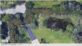 Koordinat 26.042095, -80.341887. Mustahil untuk memiliki paus di kolam renang halaman belakang di Florida. Tetapi berkat Google Earth, sosok berbentuk paus tampak berenang di kolam air buatan manusia Foto: The Travel