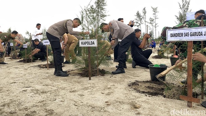 9.675 Bibit Pohon Ditanam di Lahan Bekas Tambang Bangka