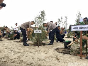 9.675 Bibit Pohon Ditanam di Lahan Bekas Tambang Bangka